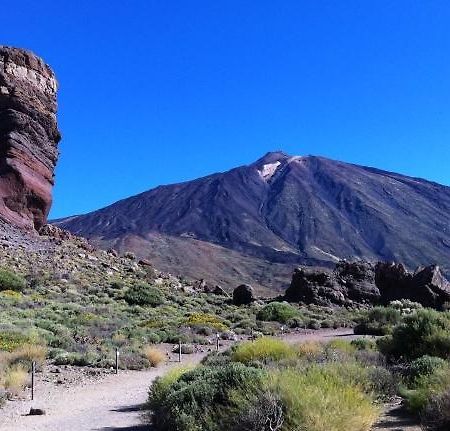 Marody Tenerife House El Médano Eksteriør bilde