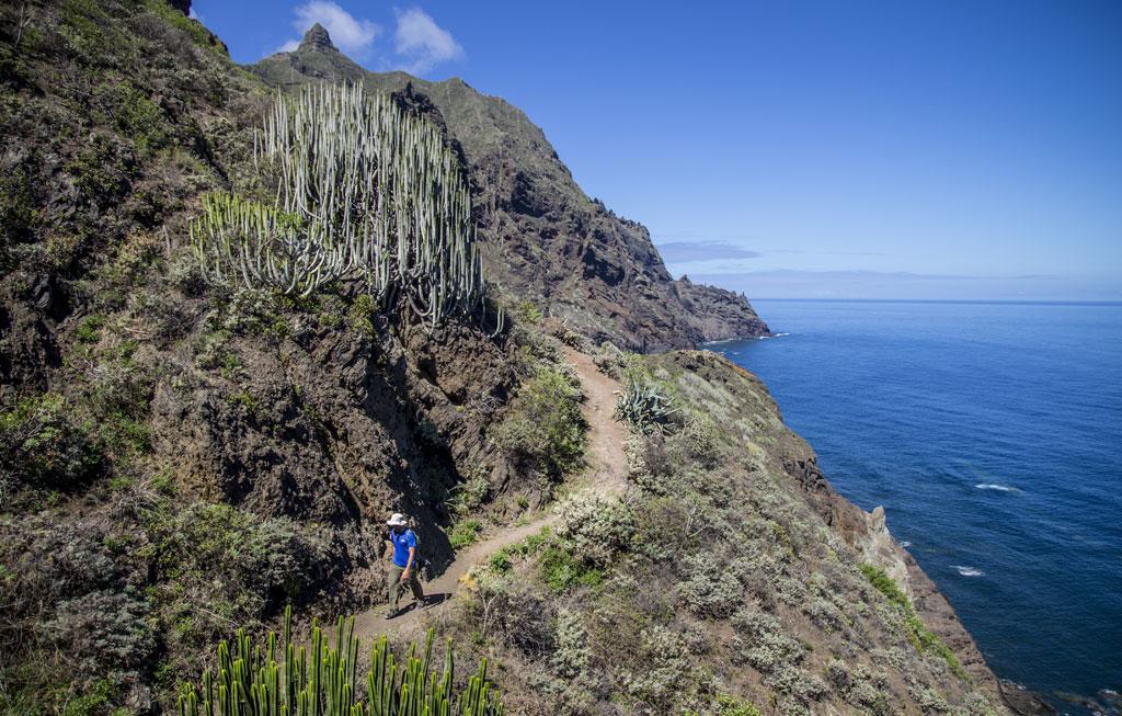 Marody Tenerife House El Médano Eksteriør bilde