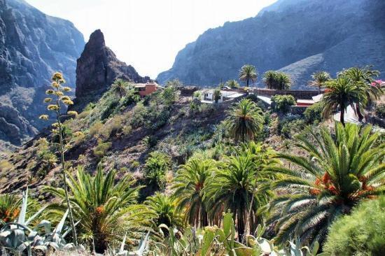 Marody Tenerife House El Médano Eksteriør bilde